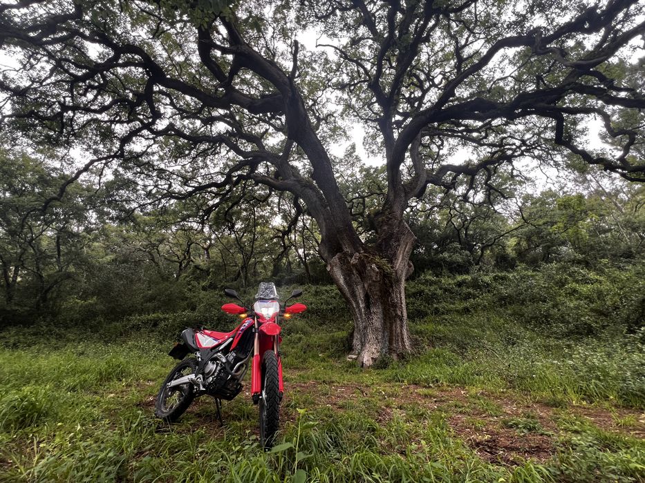 Crf300l honda 2025 EXTRAS