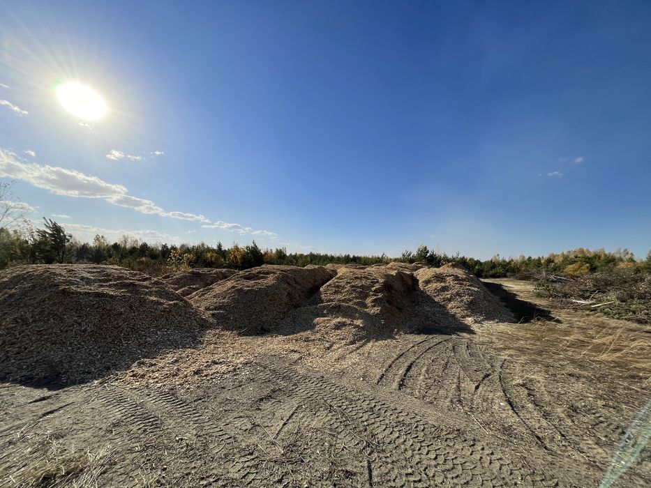 Щепа береза (висока якість) до 20%вологості сухостій