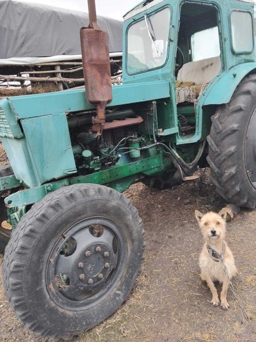 продам трактор т-40