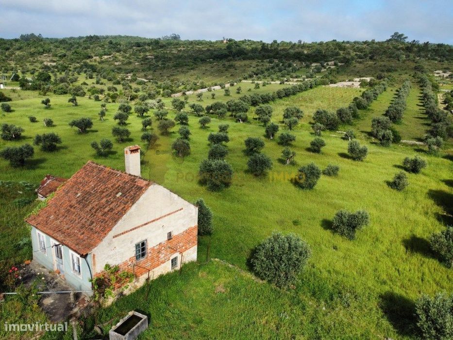 Vende-se: Bela casa antiga para renovar; magnífico terreno arborizado.