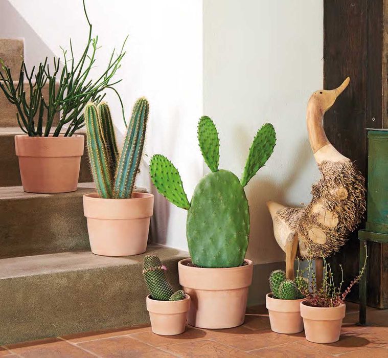 Горщики для квітів та саду майже -50% на все!