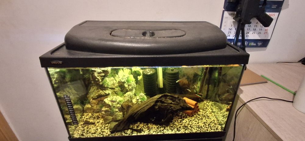 Sprzedam akwarium 70l