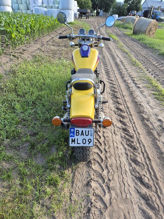 Kawasaki Eliminator 600
