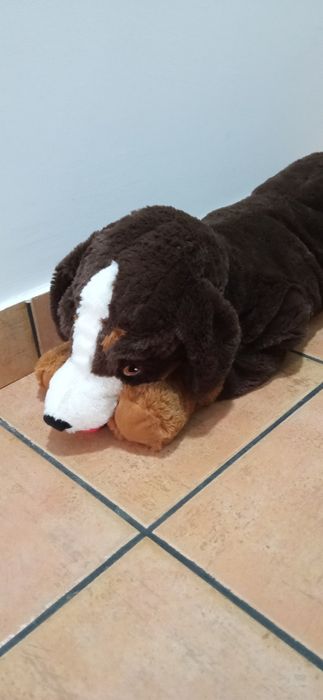 Dog plush toy.64730221302913120