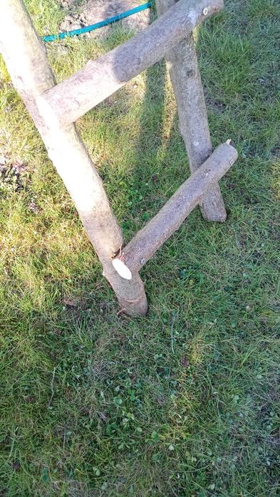 Drabina handmade ręcznierobiona