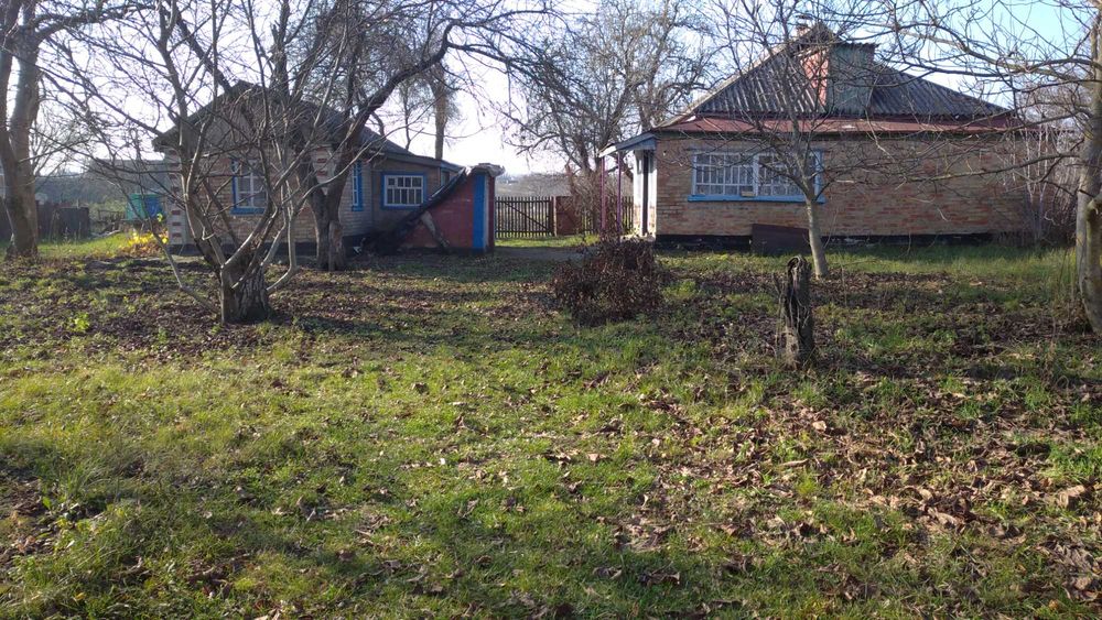 Продається будинок в селі