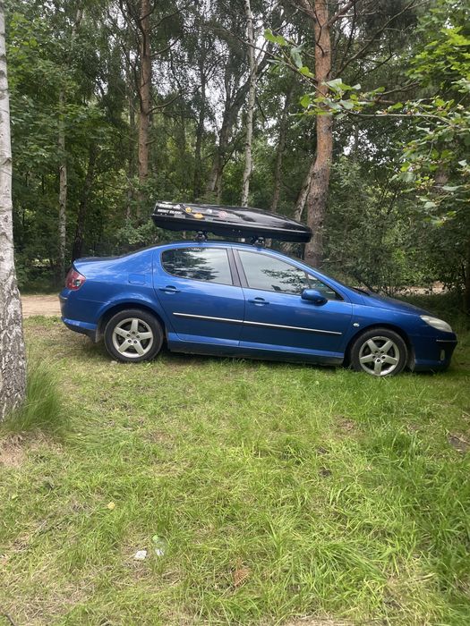 Peugeot 407
