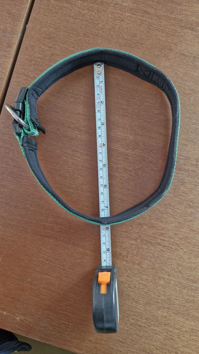 Coleira e Trela Cão