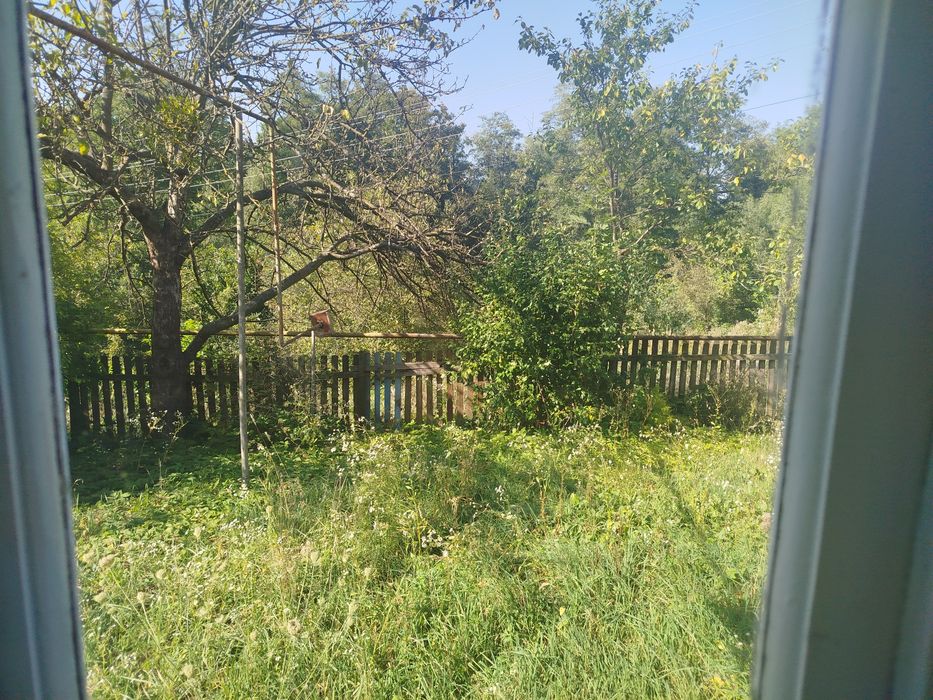 Будинок, ставок, земля біля Карпат, річка, ліс