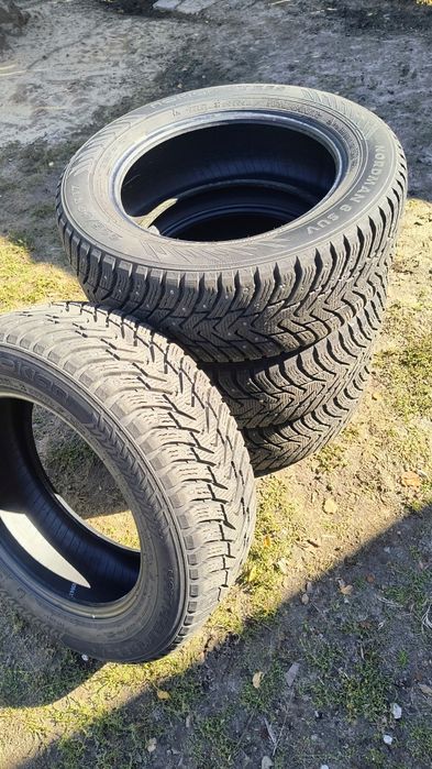 Ідеальні зимові шини Nokian Nordman 8 SUV 225/60 R17