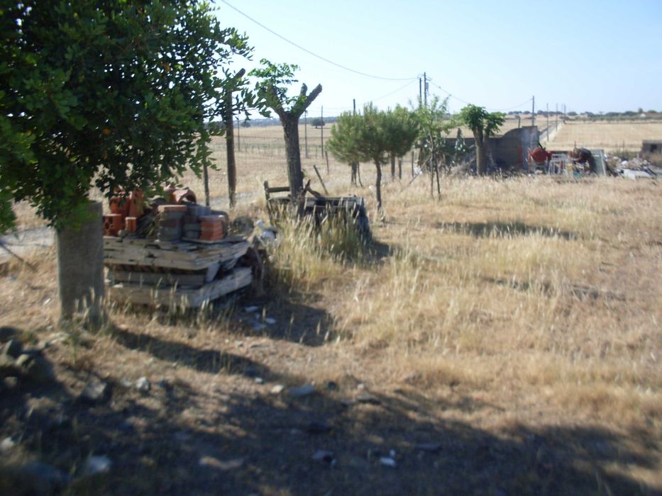 Pequena Quinta com agua de furo