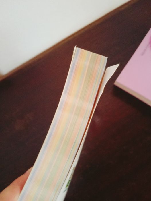 Livro Bíblia dos Anjos