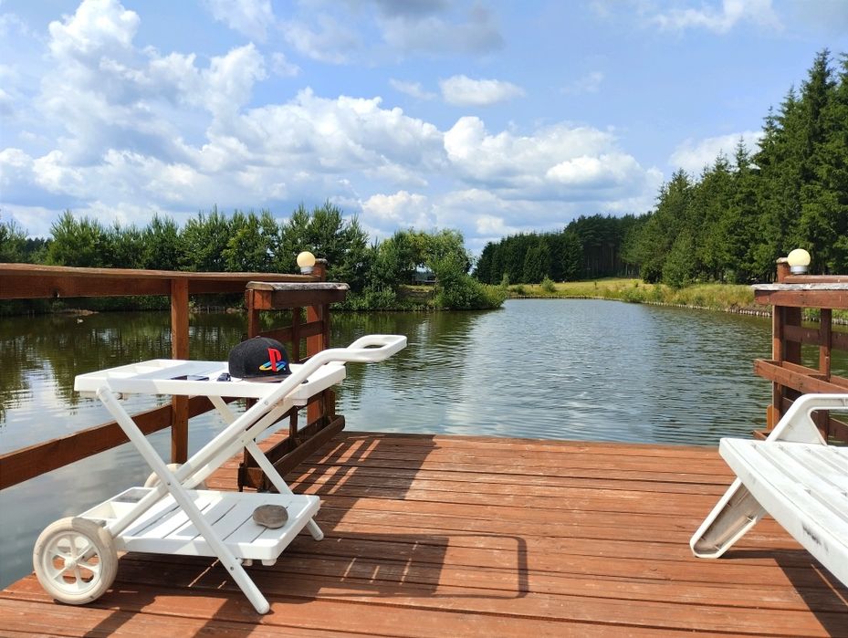 Eko domek na Kurpiach staw, las, plaża