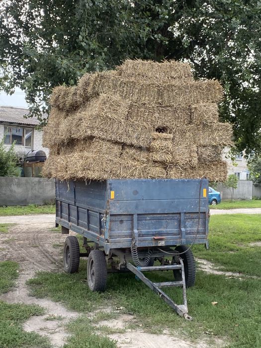 Продаємо солому в тюках