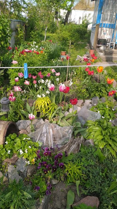 Продається будинок