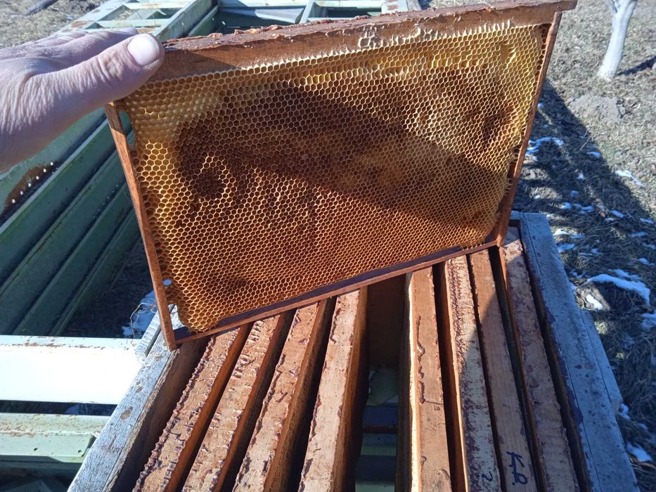 Продам суш бджолорамки.