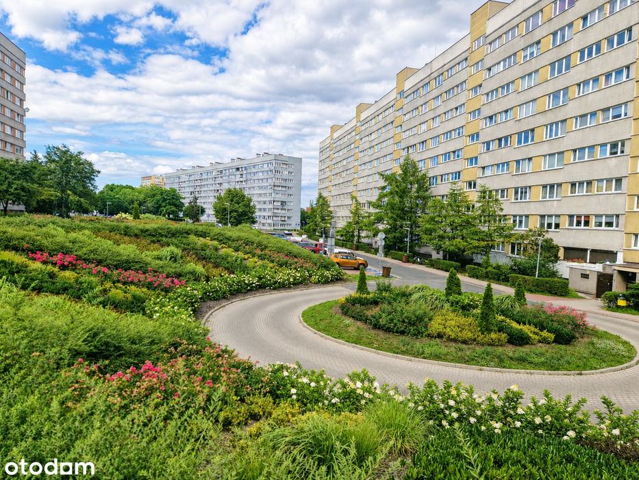 3 niezależne pokoje po generalnym remoncie; balkon; winda