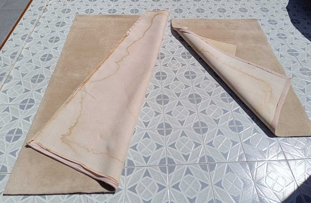 Vendo duas carpetes - REBAIXA
