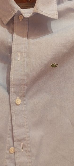 Жіноча сорочка голуба lacoste, сорочка жіноча блакитна  s,