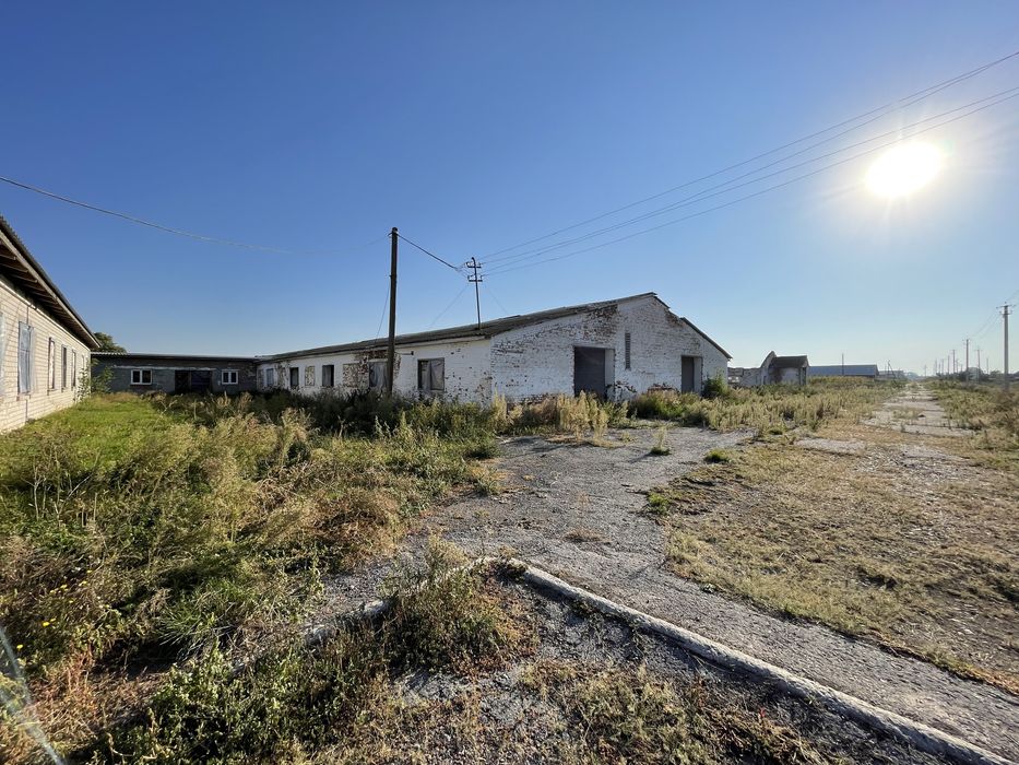 Молочно товарна ферма