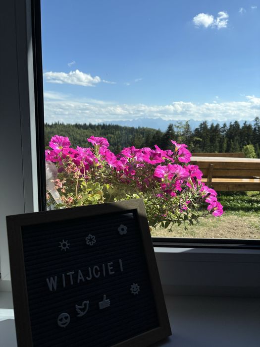 Apartament  Pod Turbaczem Wolne terminy