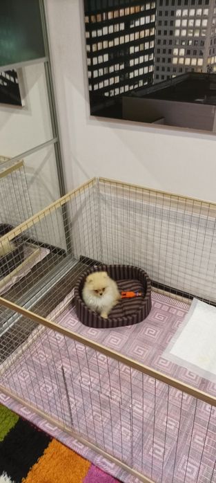 Манеж для щенка с дверцей