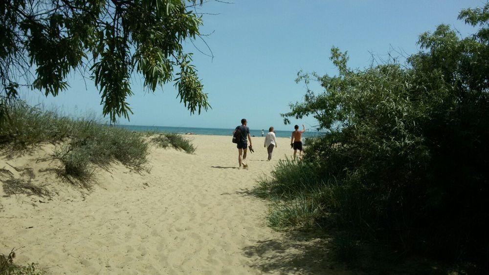Сдам дачу у моря , Затока ст. Нагорная