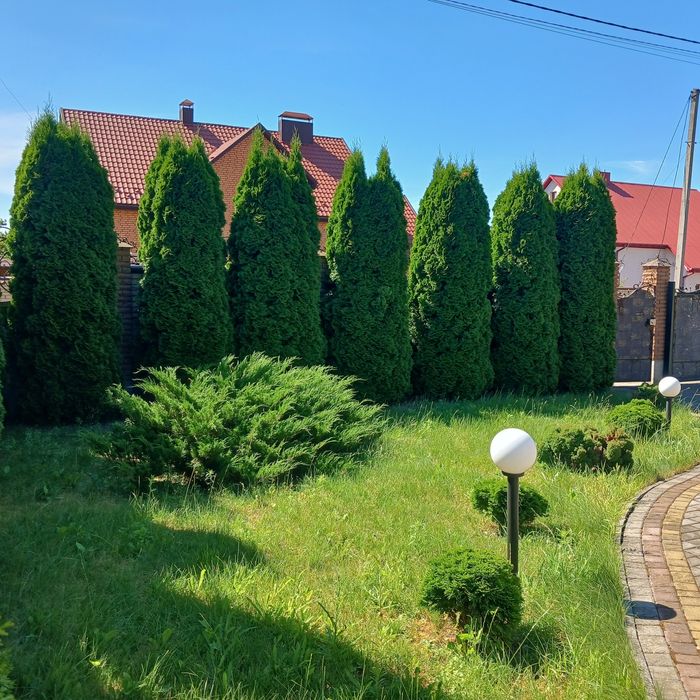 Продам чи обміняю на квартиру житловий будинок в с.Рованці.