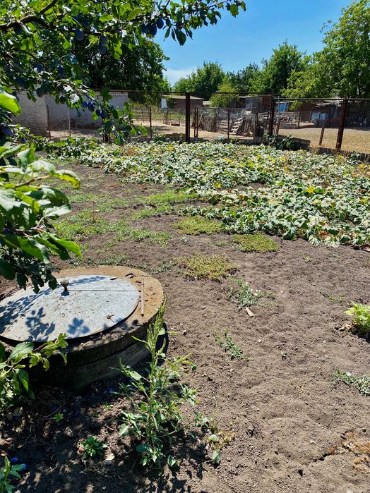 с. Степове. Продаж. Відмінний будинок 224м, ділянка 23 сотки