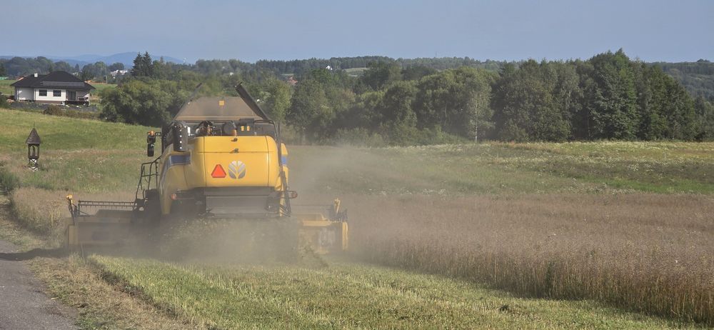 Gorczyca biała ekologiczna certyfikat eko