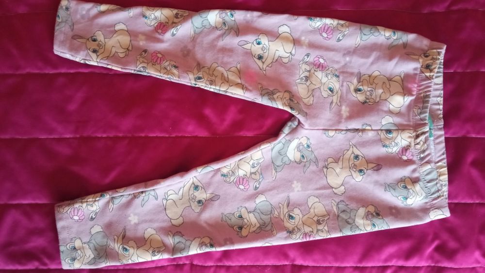 Spodnie z królikiem