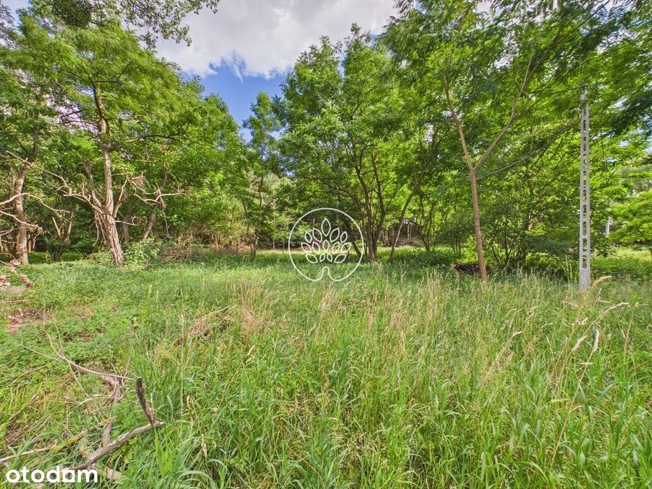 8200 m² z MPZP i Warunkami Zabudowy