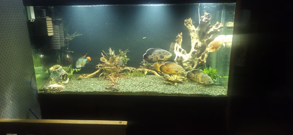 Продам акваріум 630л