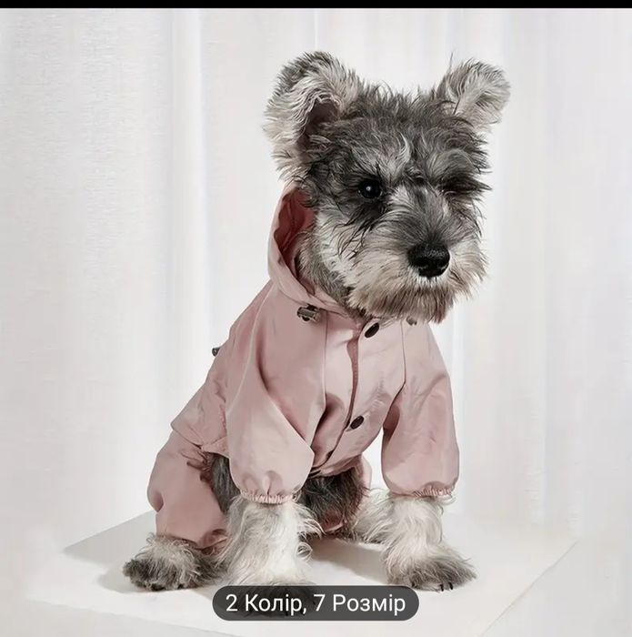 Костюмы для собаки