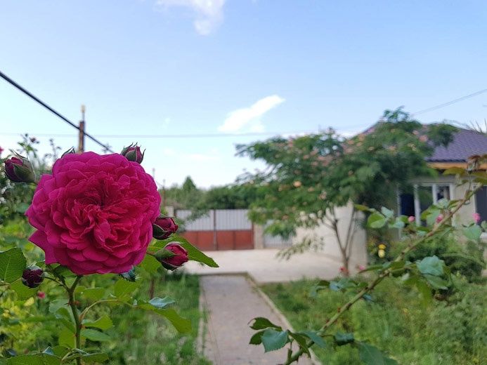 Гостьовий дім "Світоч", Чорноморськ, відпочинок у моря