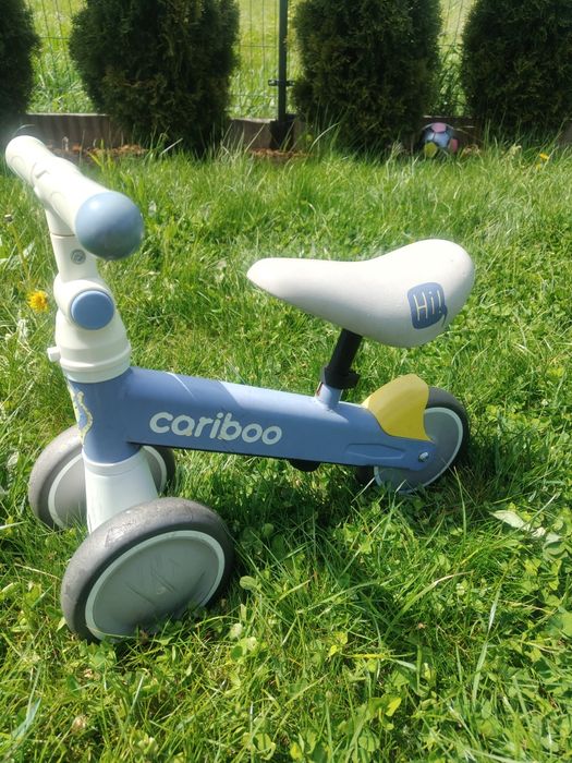 Mini rowerek cariboo