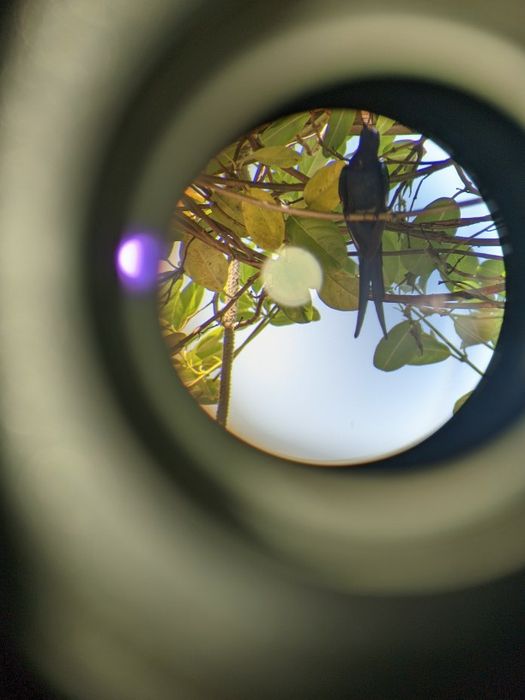 Подзорная труба Svbony SV401 20-60x80, монокуляр, телескоп