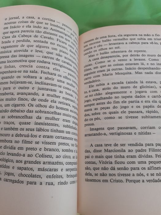 O Cavalo de Sol, Teolinda Gersão