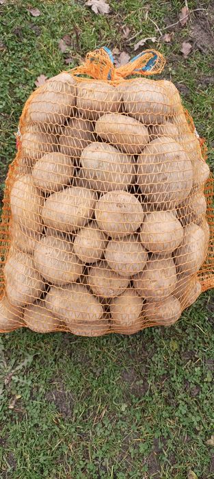 Ziemniaki jadalne odmiana Denar worki 15 kg