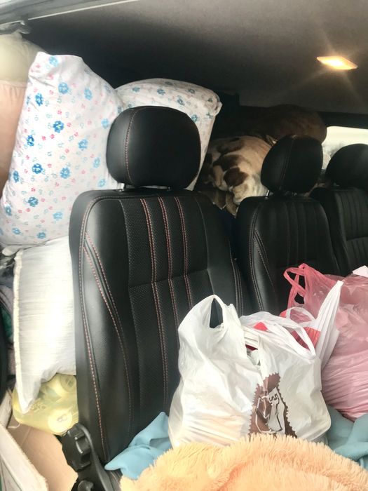 Виізний водій Перегон авто Водій за кордон