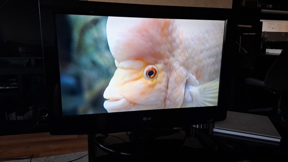 Tv 32 oferta Chromecast para partilha de conteúdos mobile