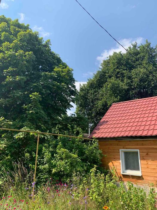 Продаю  будинок та велику земельну ділянку (Поліське)