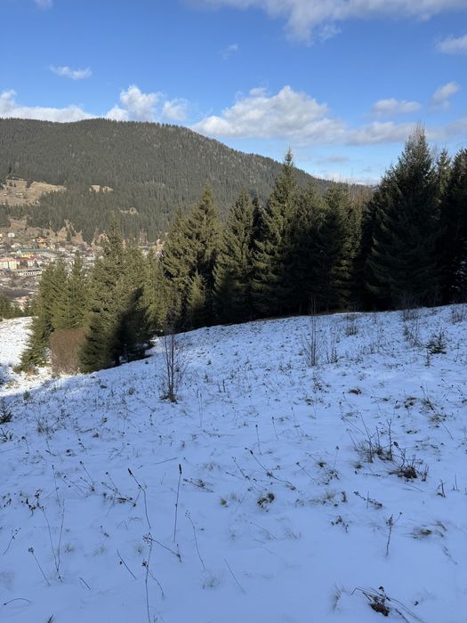 Земельна ділянка в горах Карпатах, Верховина, під забудову