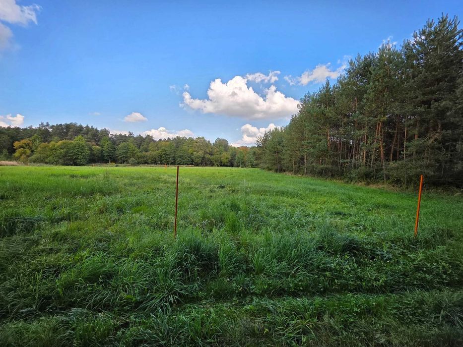 Atrakcyjna Działka Budowlana Las Winiarski