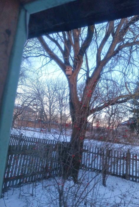 Хата житлова Степань