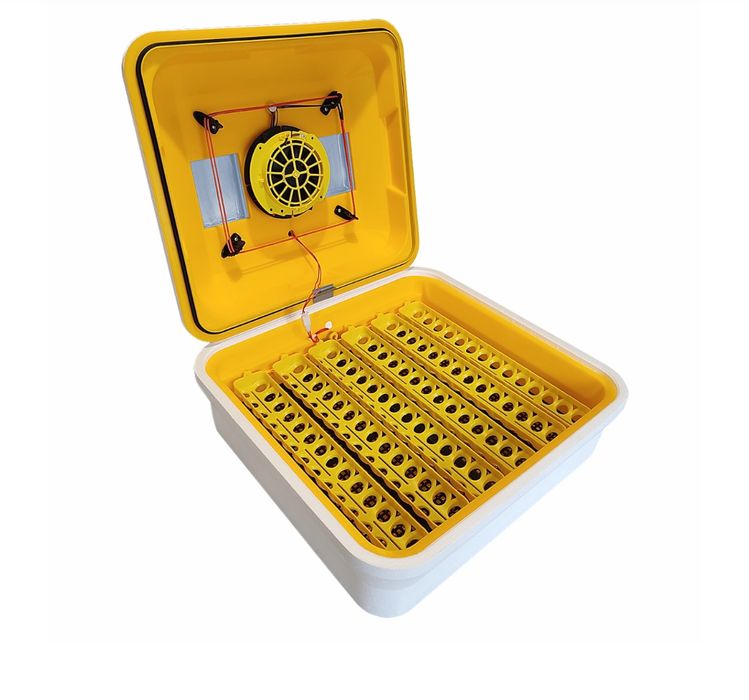 Інкубатор Побутовий Теплуша EU88 12/50
Код: id_79