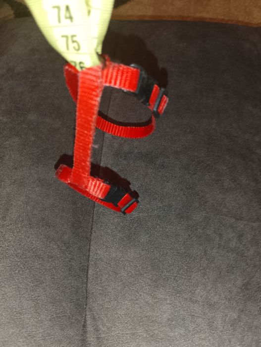 Шлейка для маленьких собак