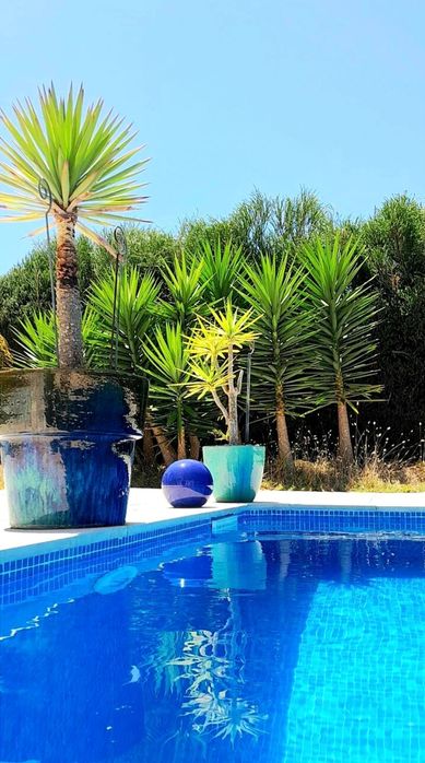 Arrendar Casa-Moradia-Propriedade/Algarve-Aljezur-Costa Alentejana