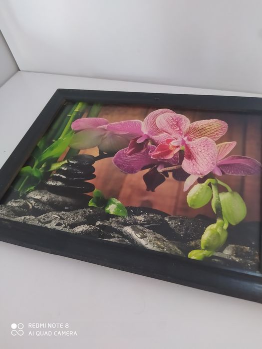 Obraz z ramką wymiary 27 x 20