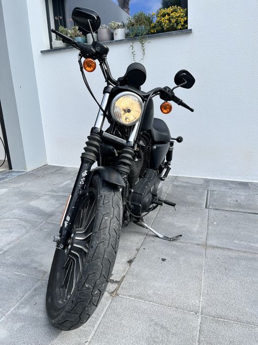Harley- Davidson iron 883